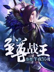 至尊战王完整版
