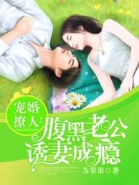 宠婚撩人:腹黑老公诱妻成瘾