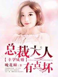 幸孕成婚:总裁大人有点坏